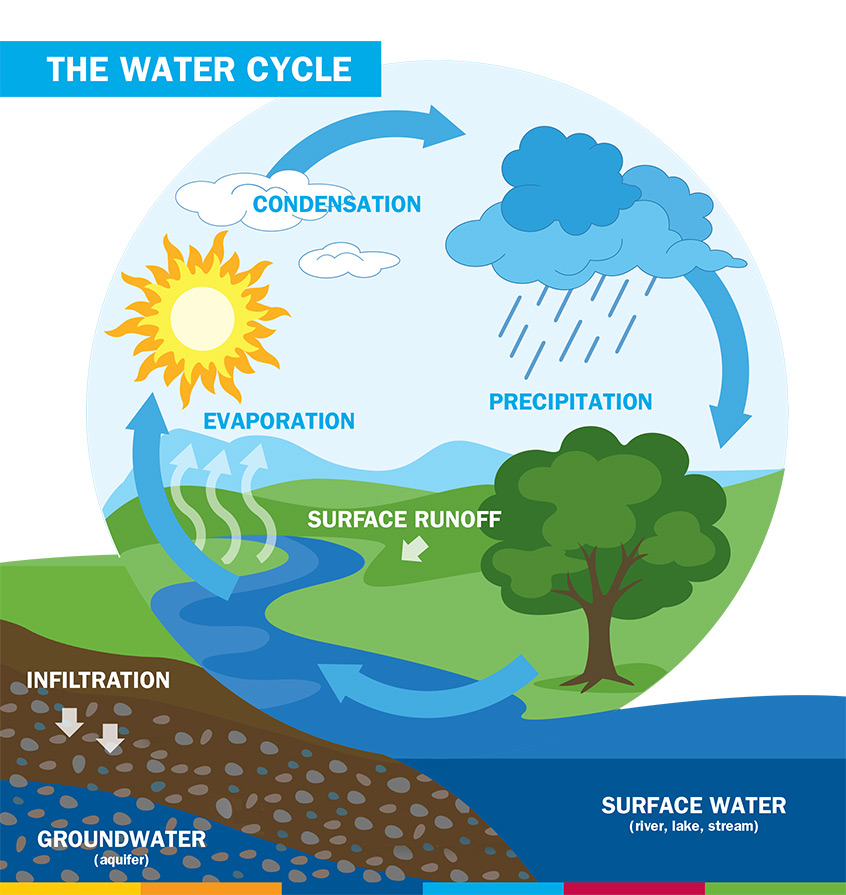 AMWaterCycle