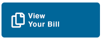 view your american water bill